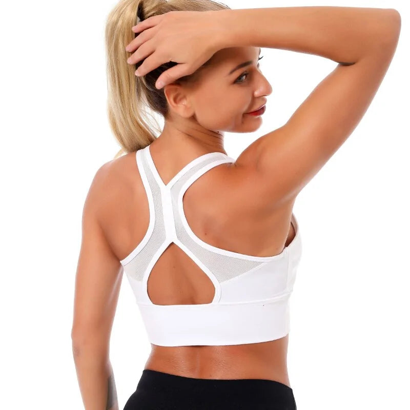 Women’s Push-Up Bra Gym Exercise Fitness Bras